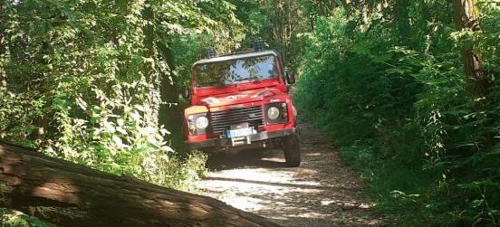 Alberi abbattuti da eventi straordinari, giornata di formazione dell’Ersaf al Parco delle Groane