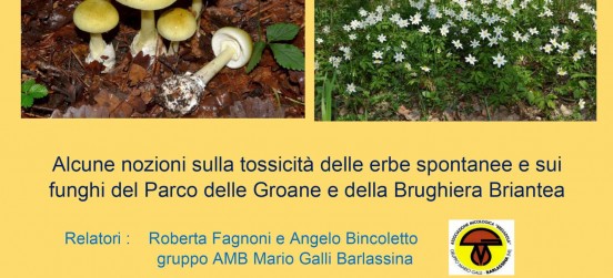 Erbe spontanee e funghi una serata per riconoscere quelli tossici