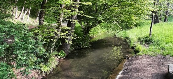 Gestione della Riserva Naturale Fontana del Guercio, il rapporto preliminare sulla proposta di revisione. Prima conferenza il 28 novembre