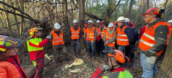 Alberi abbattuti da eventi straordinari, le immagini della giornata di formazione dell’Ersaf al Parco