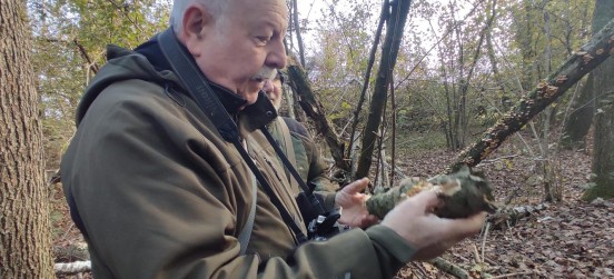 Serata naturalistica su erbe e funghi e uscita nel Parco, doppio successo