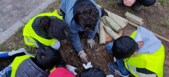 Giornata nazionale dell’Albero, le foto dei primi eventi sostenuti dal Parco