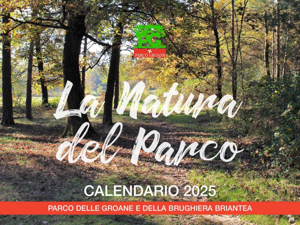 24•949 PARCO GROANE calendario tavolo D.indd