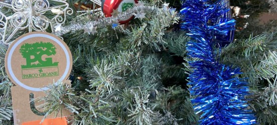 Addotta un albero per Natale e vieni al Parco a ritirare i gadget dedicati