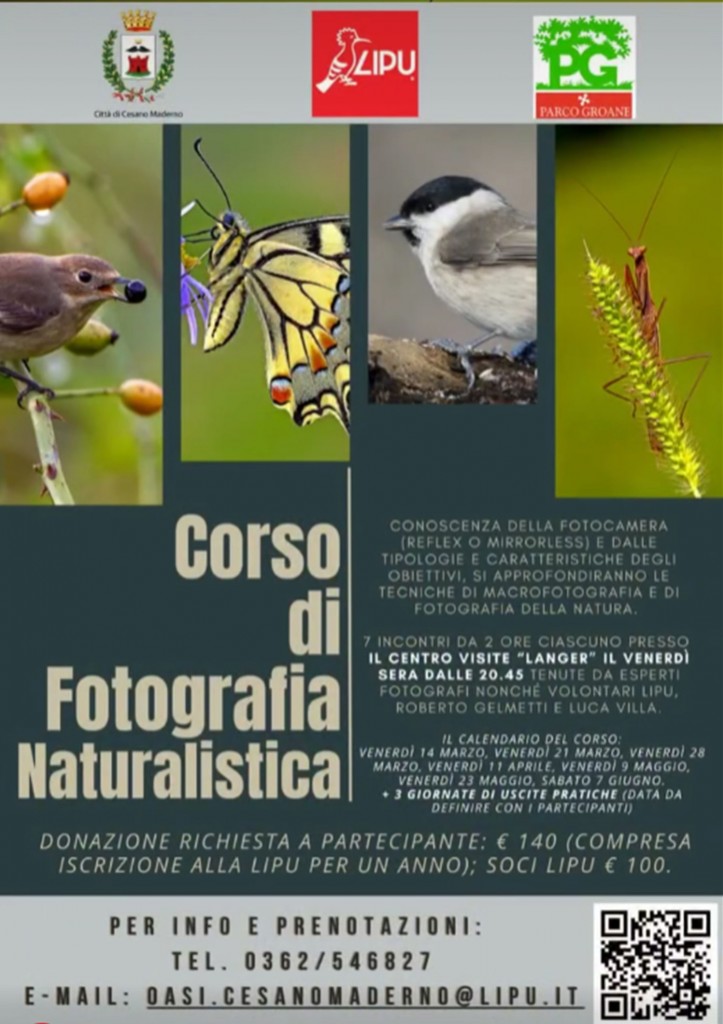 Corso-foto