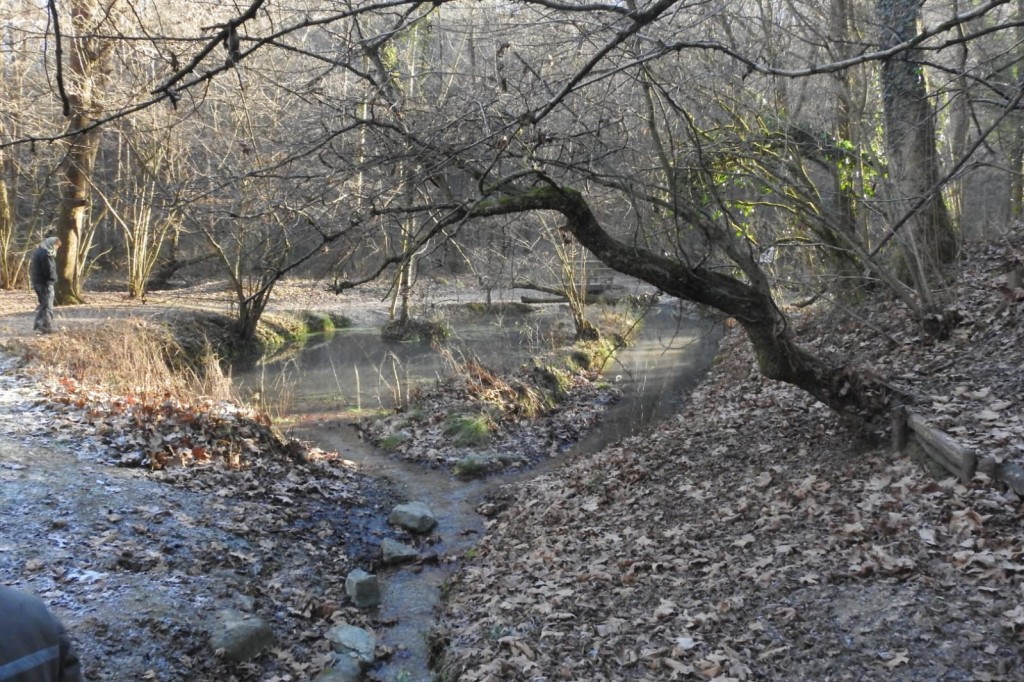 fontana guercio inverno